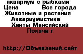 аквариум с рыбками › Цена ­ 1 000 - Все города Животные и растения » Аквариумистика   . Ханты-Мансийский,Покачи г.